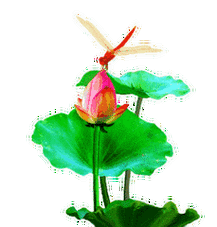 纽约月下心语诗社||夏日写生