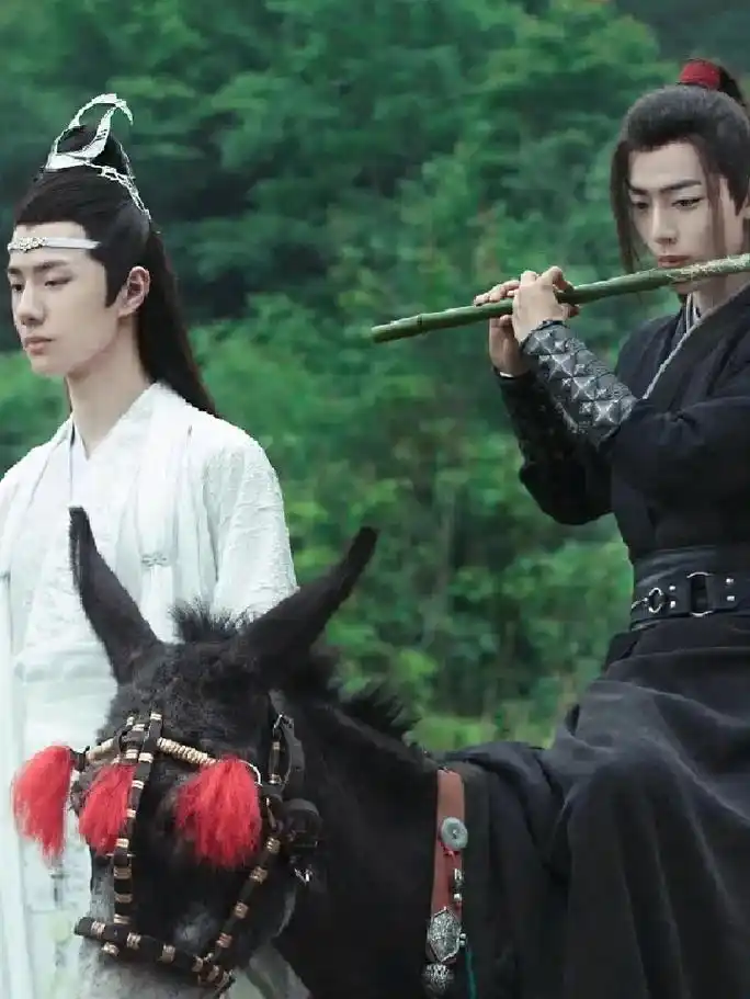 『青山不改.绿水长流』#肖战王一博  - 抖音