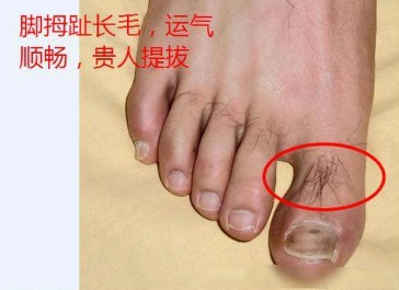 男人脚趾头上有这几个特征,都是享福命,要嫁就嫁这样的!