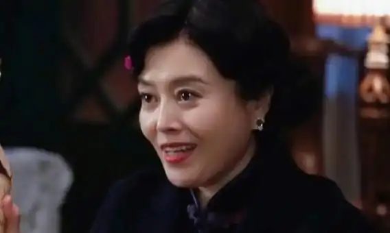 丁嘉丽是谁的老婆,丁嘉丽是哪里人