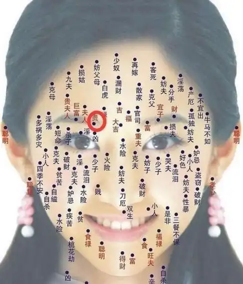 脸部痣相-面相痣看吉凶麻衣神相痣图解 - 面相图解 - 易德轩网