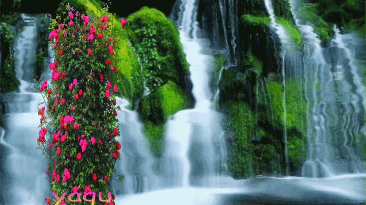 风景如画,鸟语花香!