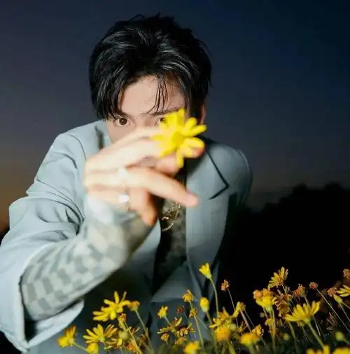 微信头像王子异