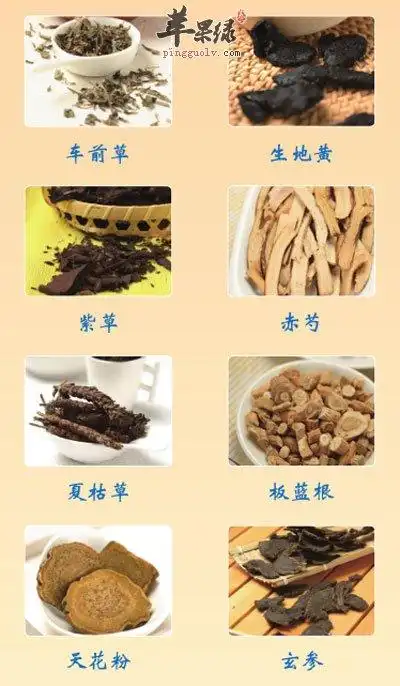 400_686竖版 竖屏