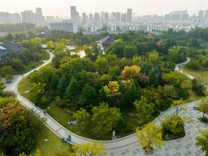 青岛城阳国学公园赏秋色品古韵