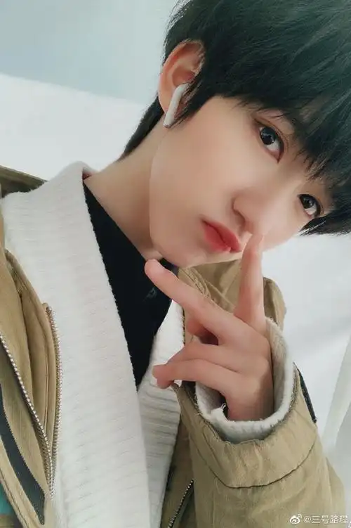 贺峻霖 画报颜值