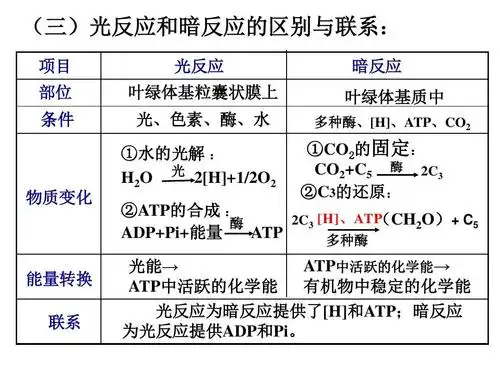 生 能量之源—光与光合作用(三)ppt (三)光反应和暗反应的区别与联系