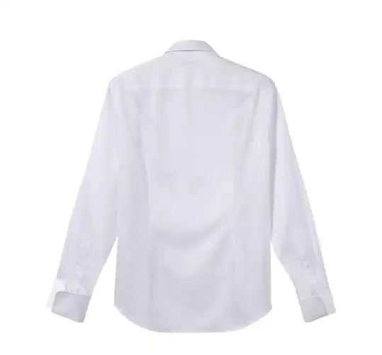 白色衬衫背面款式图