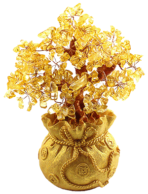 种下一棵摇钱树愿你天天快乐财源滚滚来