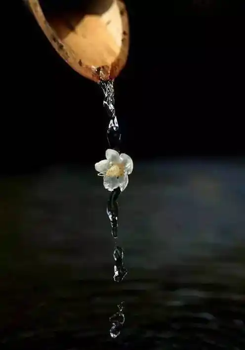 一颗平常心去淡然,一颗安静心去喜悦,平静地守候这个世界.