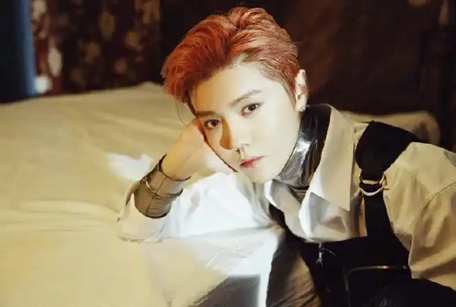 鹿晗干枯玫瑰发色##鹿晗玫瑰金发色