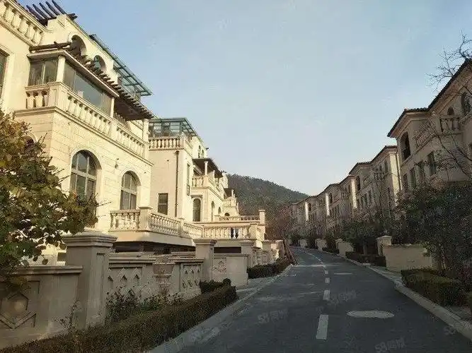 旅顺南路 远乡双拼别墅,位置可选年底10套特价独立车库花园!