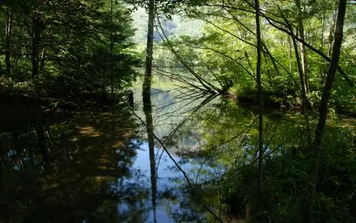 壁纸,日本风光,日式