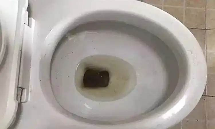 马桶脏了不动手就能清理干净,还没有异味,秘诀竟然是这个!