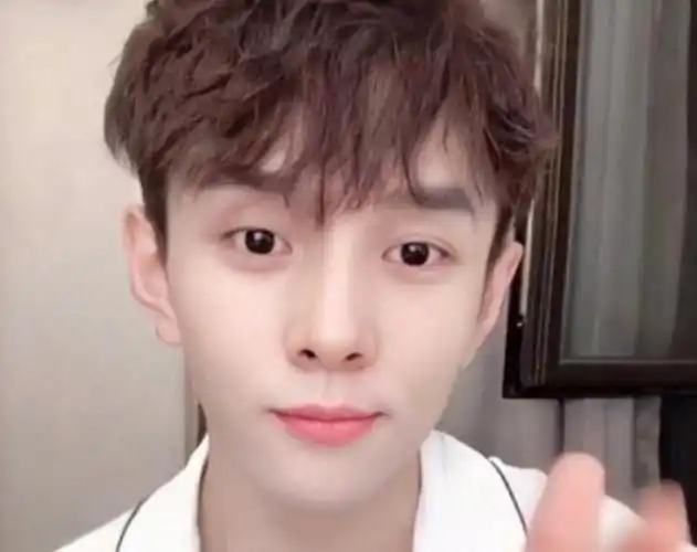 李佳琦旧照曝光五官立体又飒又酷超迷人