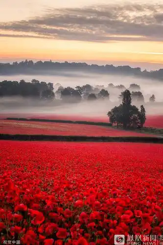 来源:swns/视觉中国