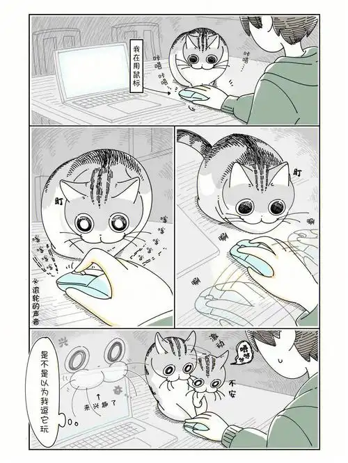 短篇漫画养猫新手之猫咪对我用鼠标很好奇