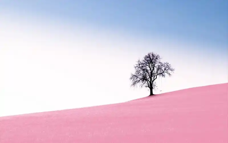 首页 桌面壁纸 风景壁纸 超清绝美自然风景图片电脑壁纸