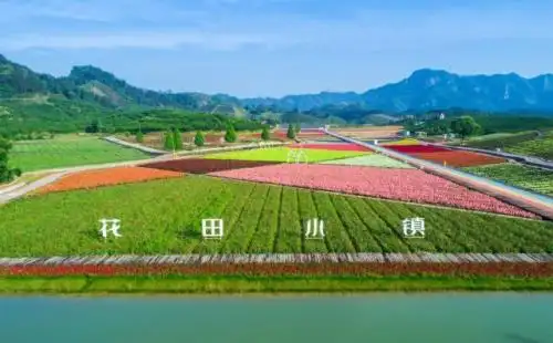 图为武义花田小镇.