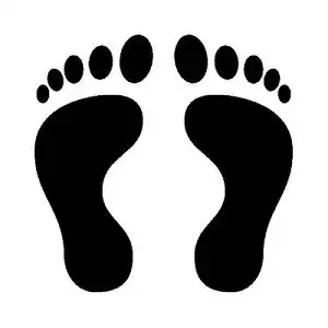 羊驼脚印元素