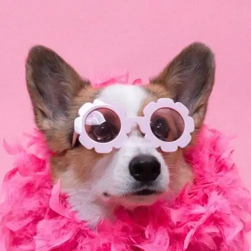 妈妈是个粉色控我又有什么办法呢这只粉粉嫩嫩的猛男宝宝真的太撩人了