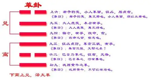 易经六十四卦之革卦