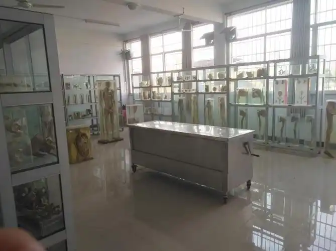 人体解剖陈列标本室-湖南文理学院体育学院