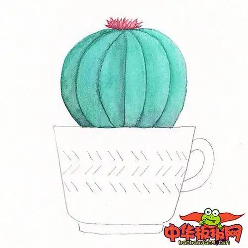 仙人球彩铅简笔画