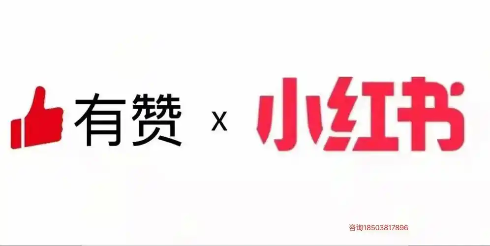 关于有赞微商城打通小红书的相关资讯