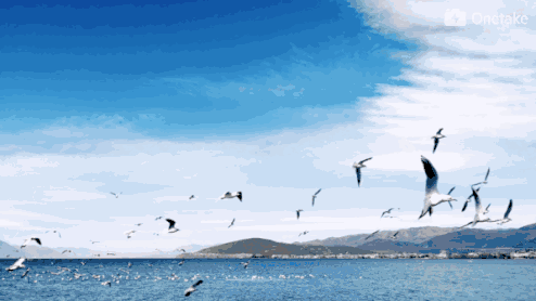 海上风微刊夜听名人名篇海鸥题一只烟灰缸作者赵丽宏诵读和沁艺术总监