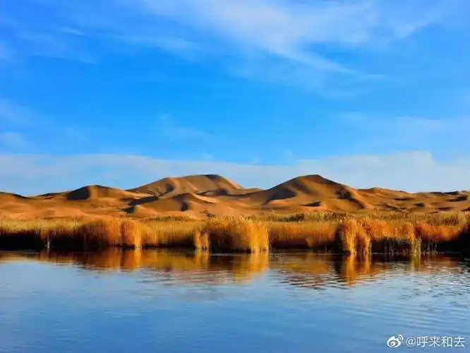 湖】阿拉善腾格里沙漠天鹅湖风景区位于内蒙古自治区阿拉善左旗境内