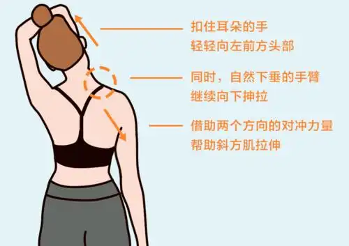 先消除斜方肌,气质提升两倍!