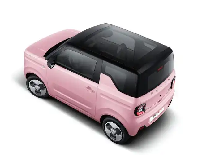 微型电动车黑马 吉利熊猫mini上市售3.