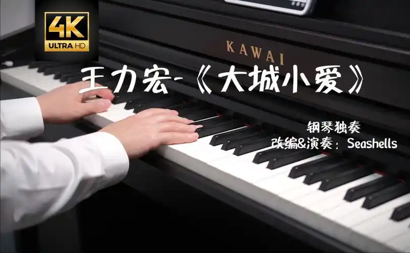 王力宏-《大城小爱》钢琴独奏