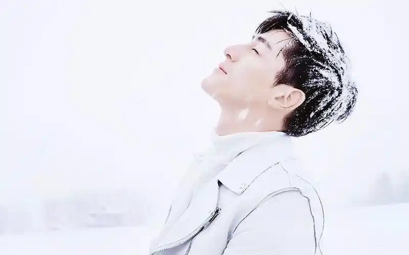 胡歌时尚芭莎雪花秀纯净版