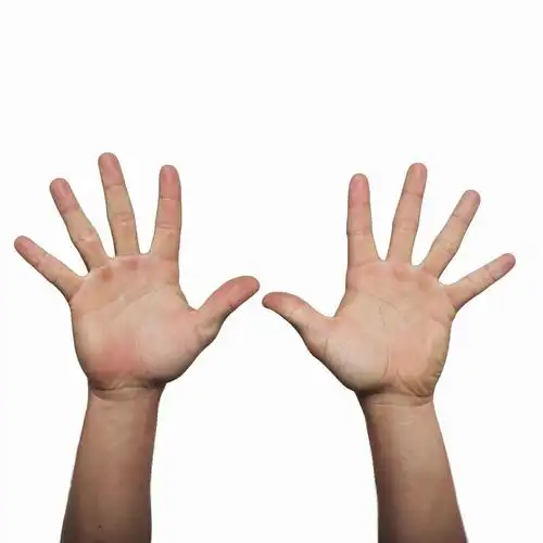 伸出双手手掌图片素材下载(图片id:260947)_-人体器官-图片素材_ 集