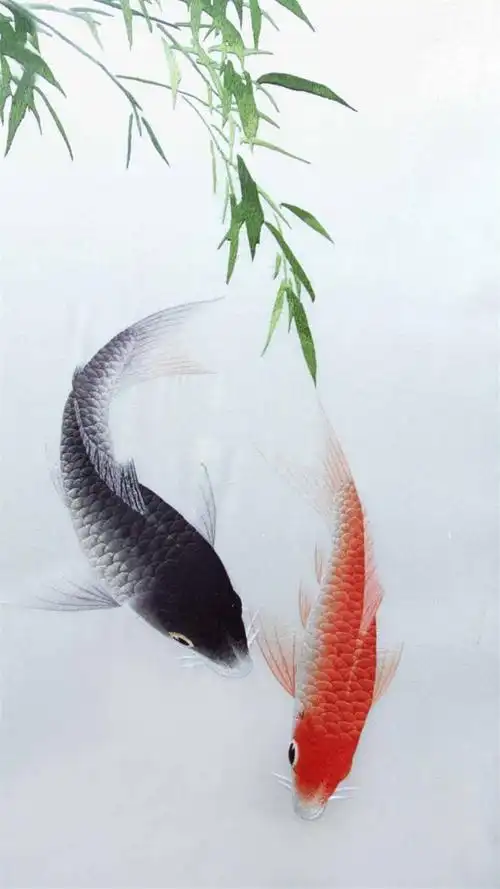 唯美锦鲤高清手机壁纸