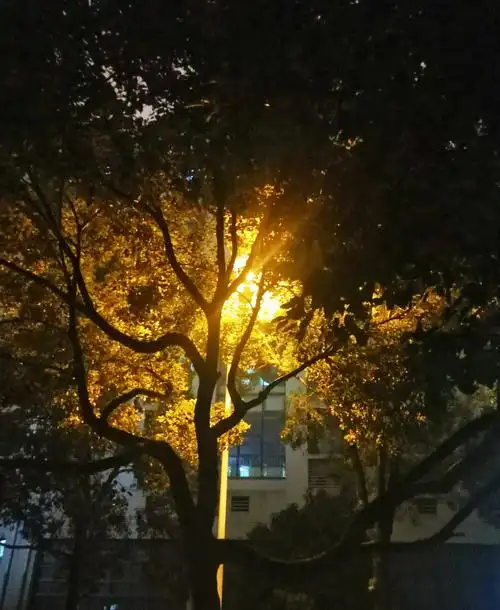 寂寞夜里安静的小夜灯