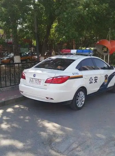 帝都的警车也有逸动的身影!^o