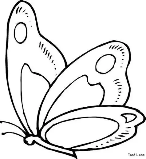 之蝴蝶的画法diy图解教程蝴蝶简笔画图片2精致蝴蝶的简笔画蝴蝶怎么画