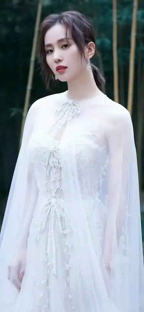 刘诗诗写真壁纸,好多款礼服,每一张图片都好美