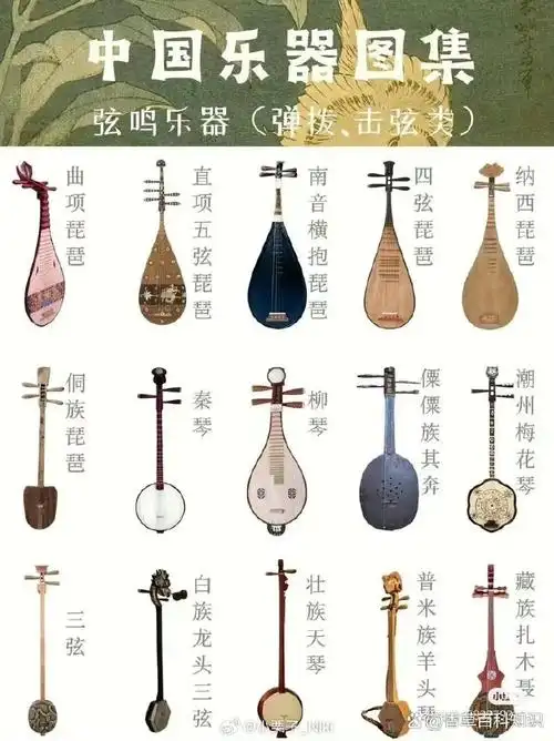 弹拨乐器的历史悠久,种类形制繁多,是极富特色的一类弦乐器.