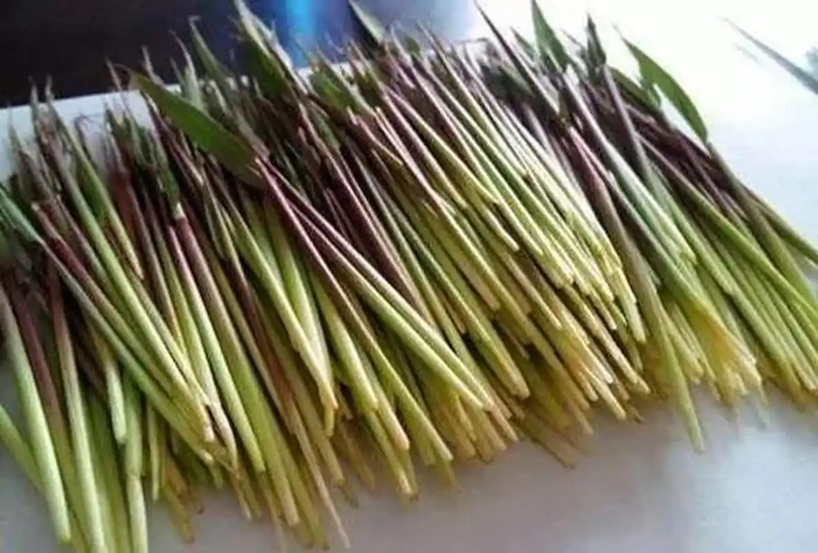 茅根,这个也是小时候的甜食之一,不过这个可以正大光明的吃,在田间地