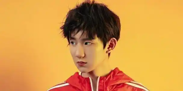 原创对于自己犯下的错王源只承担不辩解他不刚谁刚