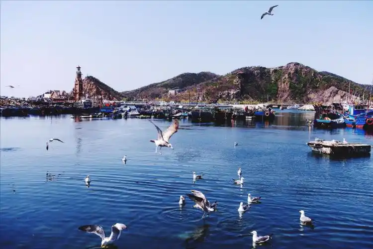 大连有什么好玩的地方大连旅游必去的几个景点