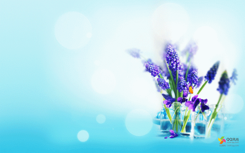 win7动态植物花卉,win7-回车桌面