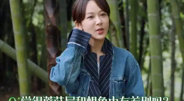 原创向往的生活5热播杨紫从古灵精怪的小雪化身为知心姐姐