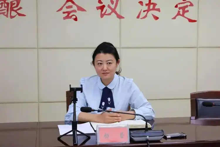 县长杨蕾主持召开任县招商选资与项目双进双产云考察洽谈会