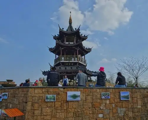 宜兴湖父镇竹海,茶园