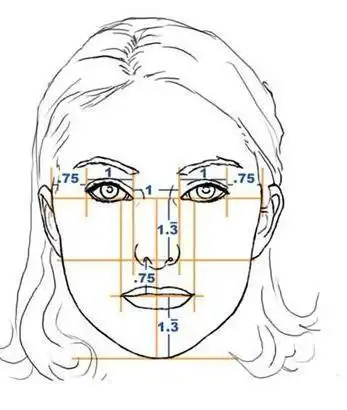 三庭五眼神马的你们敢量量自己的面部比例么美丽也是技术活小组果壳网